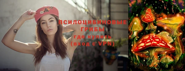 ПСИЛОЦИБИНОВЫЕ ГРИБЫ Богданович