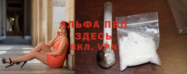 ПСИЛОЦИБИНОВЫЕ ГРИБЫ Богданович