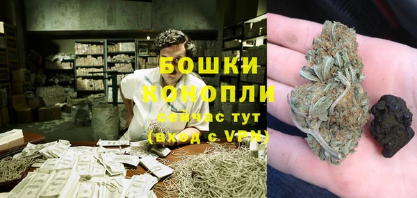 ГАЛЛЮЦИНОГЕННЫЕ ГРИБЫ Богородск