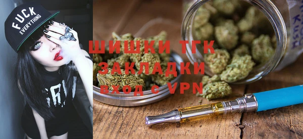 ПСИЛОЦИБИНОВЫЕ ГРИБЫ Богданович