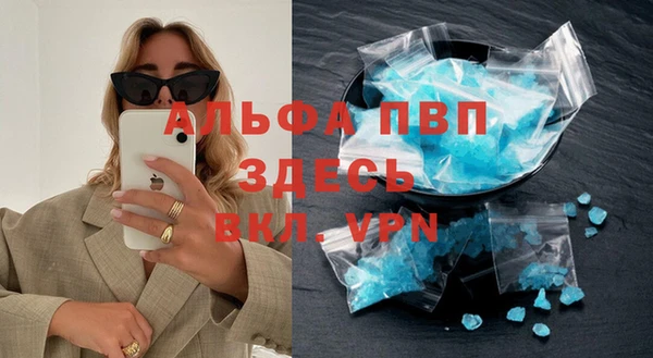 СК Богородицк