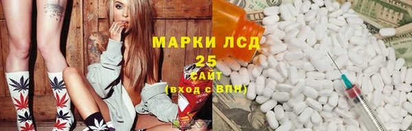 ПСИЛОЦИБИНОВЫЕ ГРИБЫ Богданович