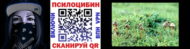 цена наркотик  Называевск  Псилоцибиновые грибы Psilocybe 